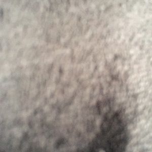 Meet your Posher, Myesha